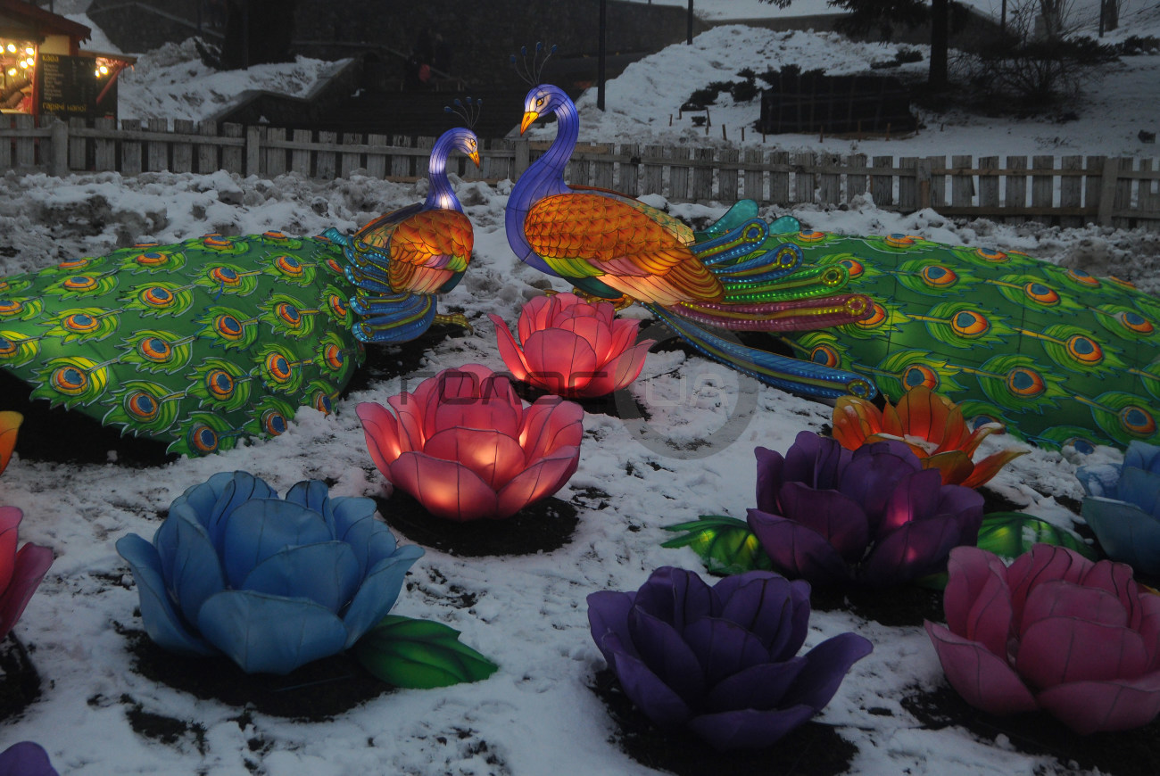 На Певчем поле в Киеве  открылся фестиваль гигантских китайских фонарей