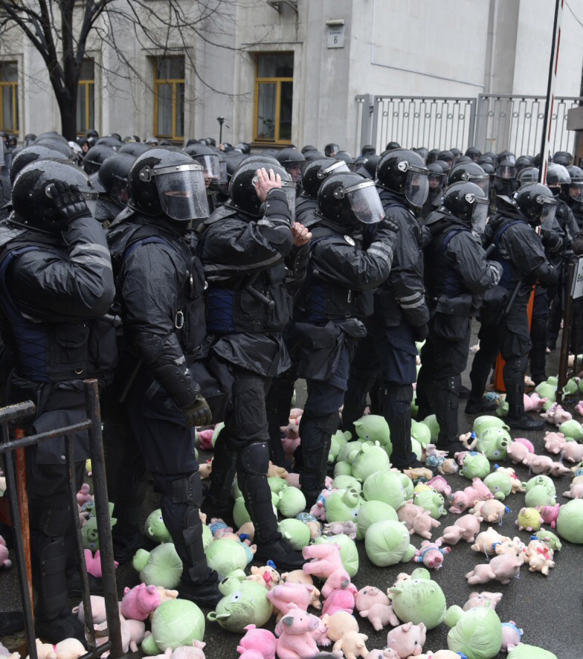 Администрацию Президента забросали плюшивыми свиньями
