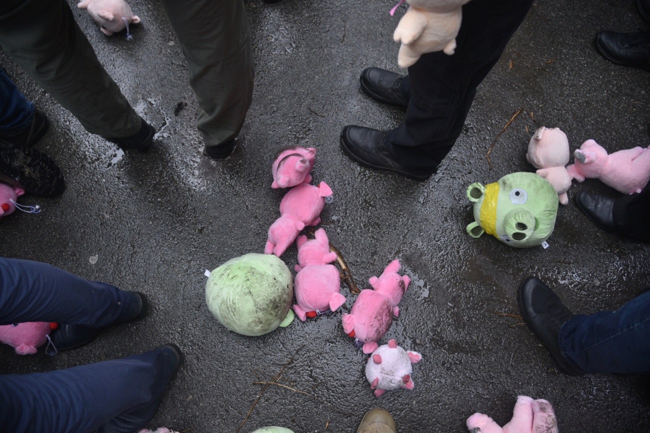 Администрацию Президента забросали плюшивыми свиньями