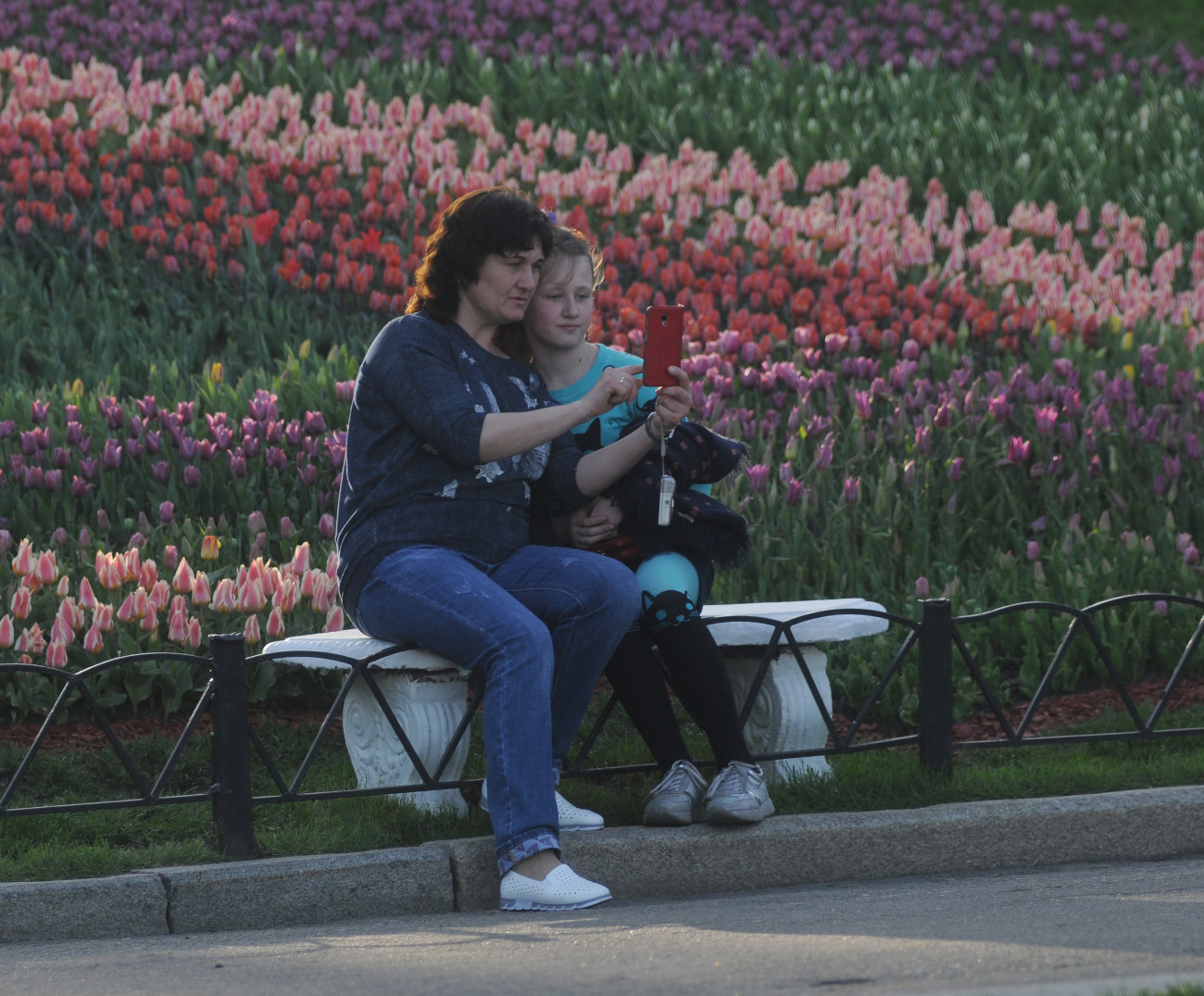 На Певческом поле открылась ежегодная выставка тюльпанов