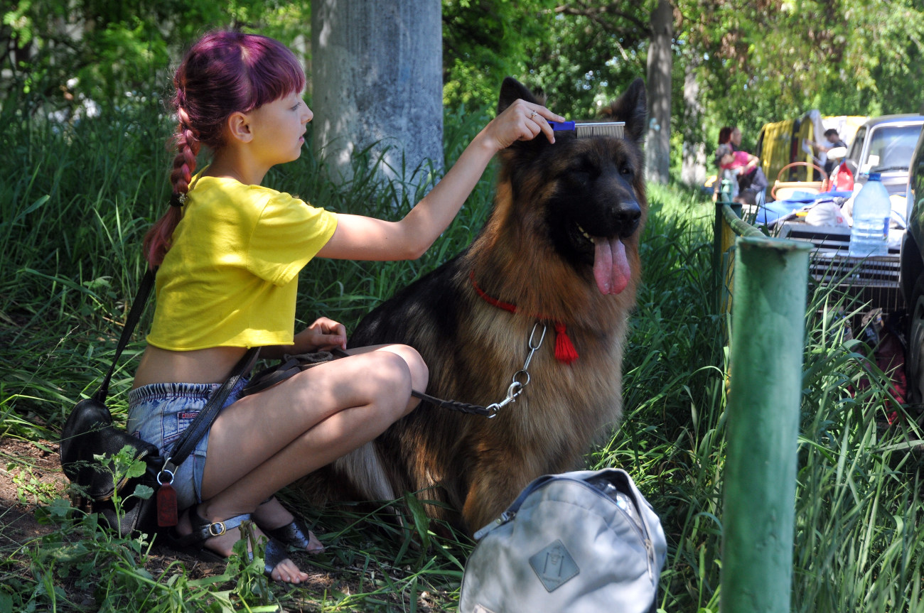 В Харькове состоялась выставка собак
