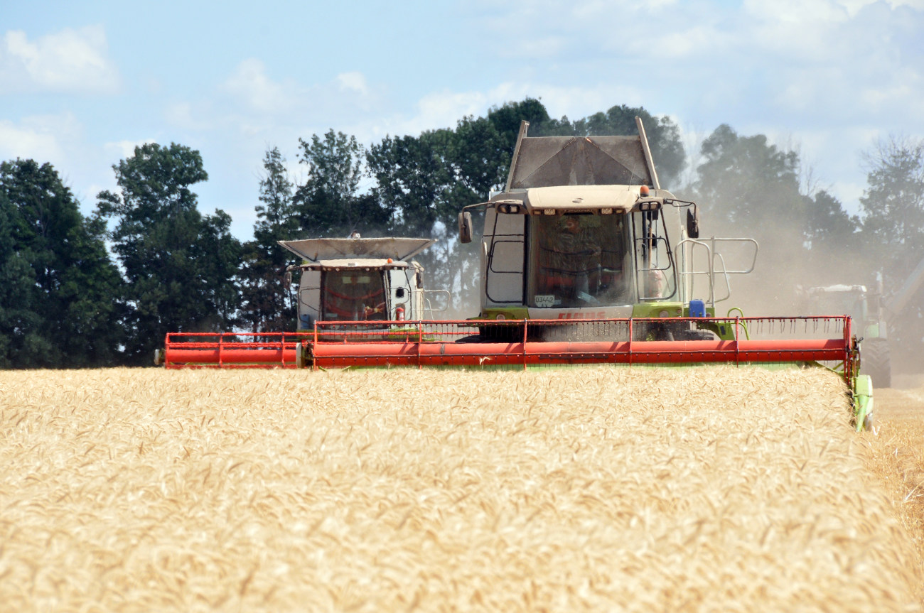 На Харьковщине собрали 72% ранних зерновых