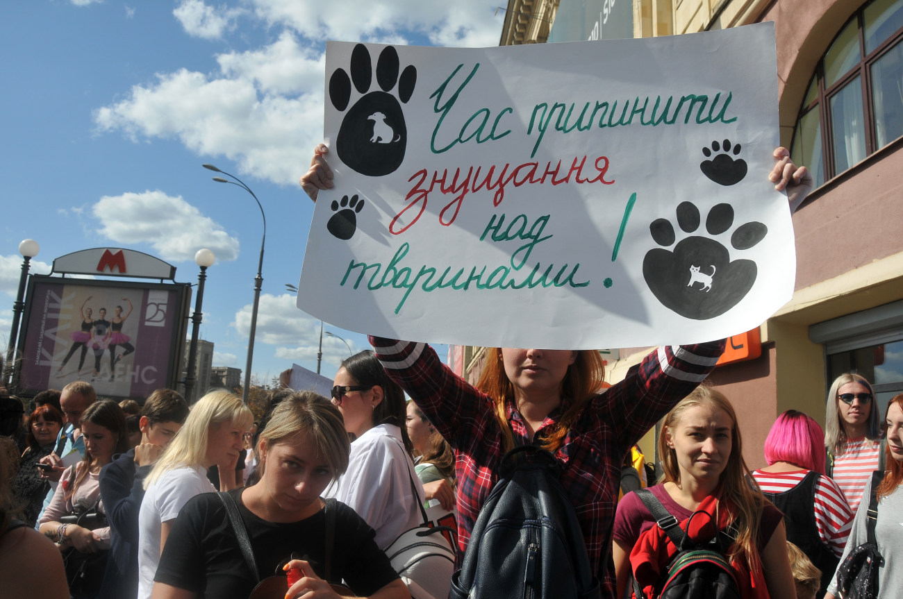 В украинских городах прошли акции защитников животных