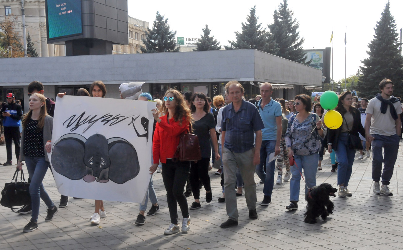 В украинских городах прошли акции защитников животных