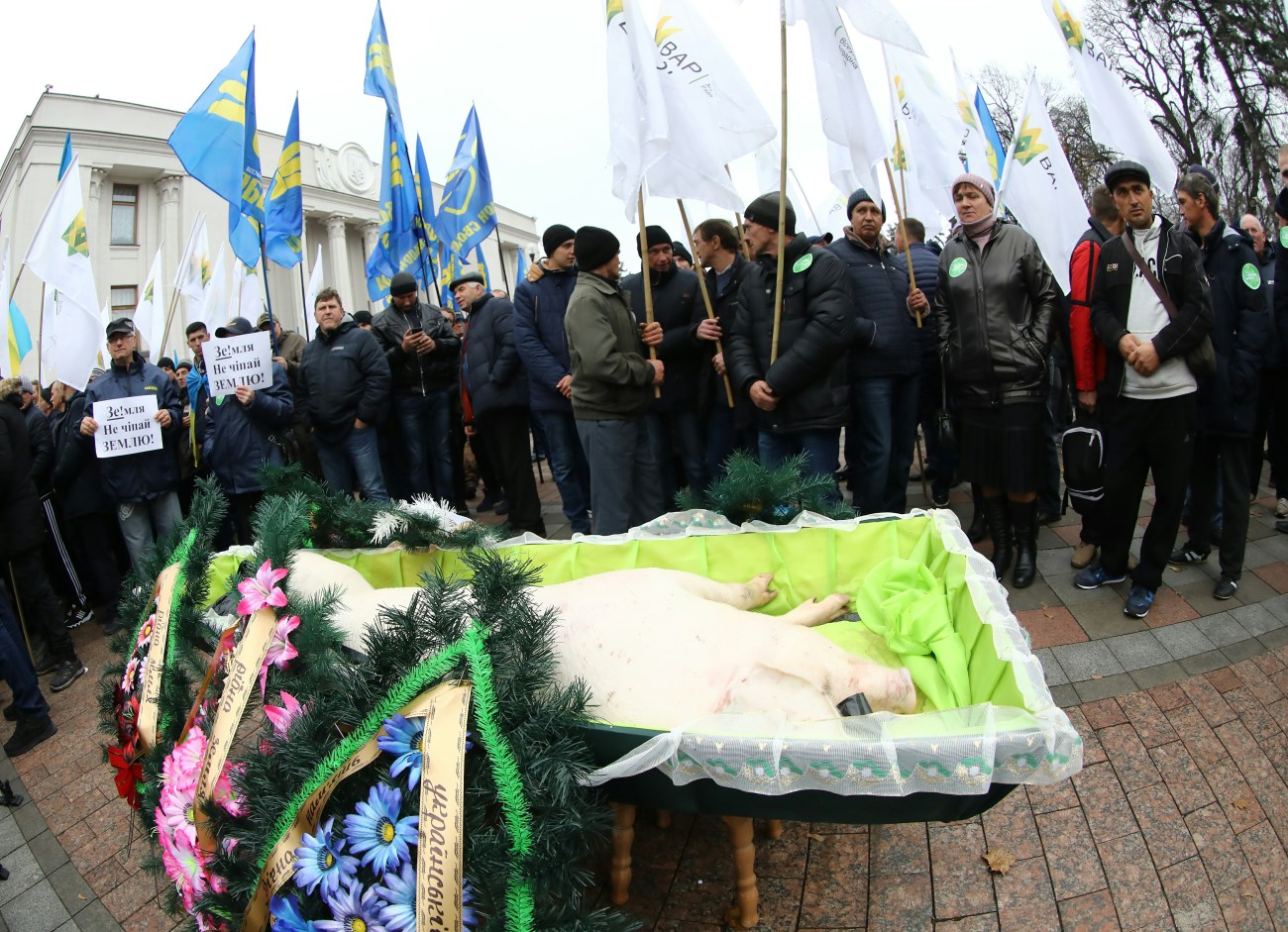 Митинг против продажи земли: Аграрии под ВР «похоронили» свинью