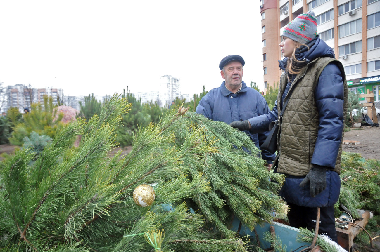 В Харькове цены на елки не отличаются от столичных