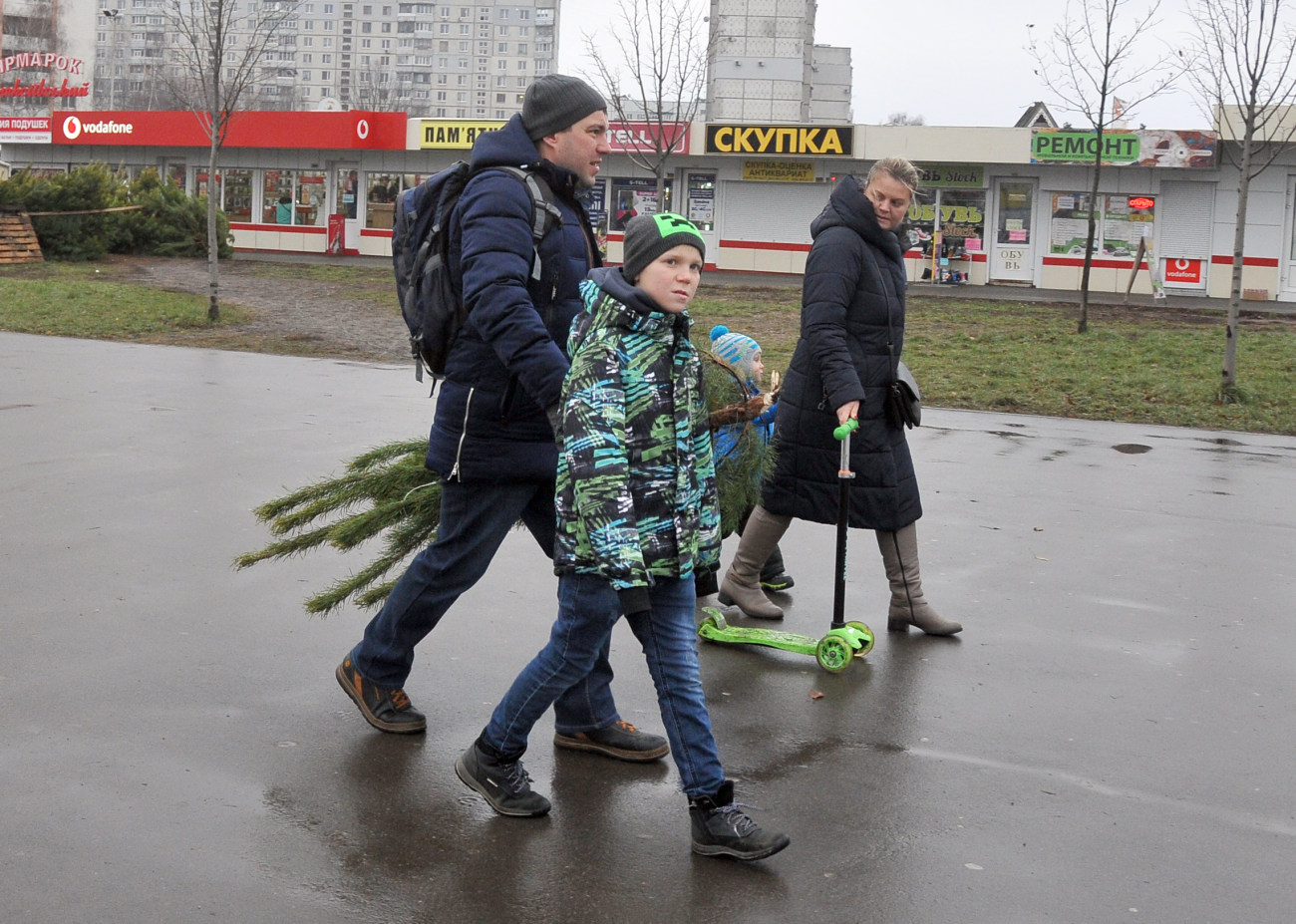 В Харькове цены на елки не отличаются от столичных