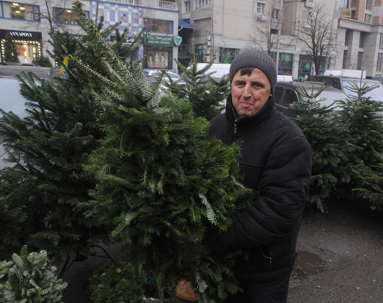 В Украине предновогодний елочный ажиотаж