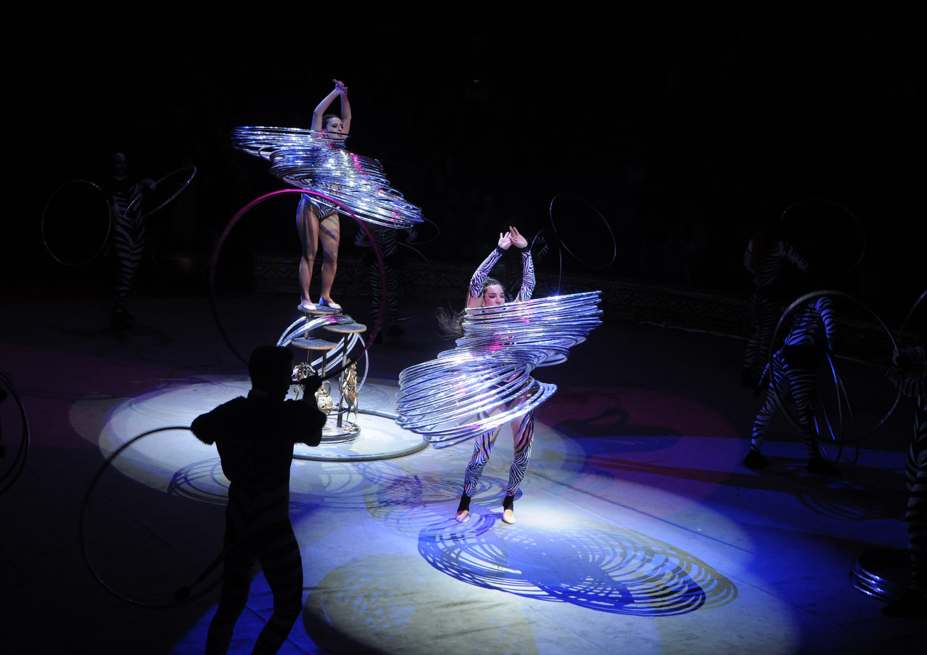 Национальный цирк Украины запускает &#171;африканское&#187; шоу