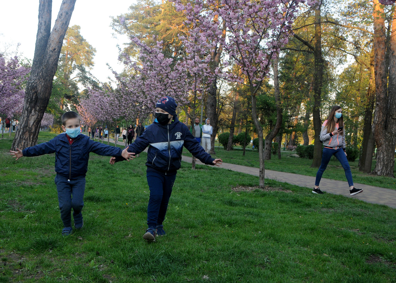 В Киеве цветет сакура