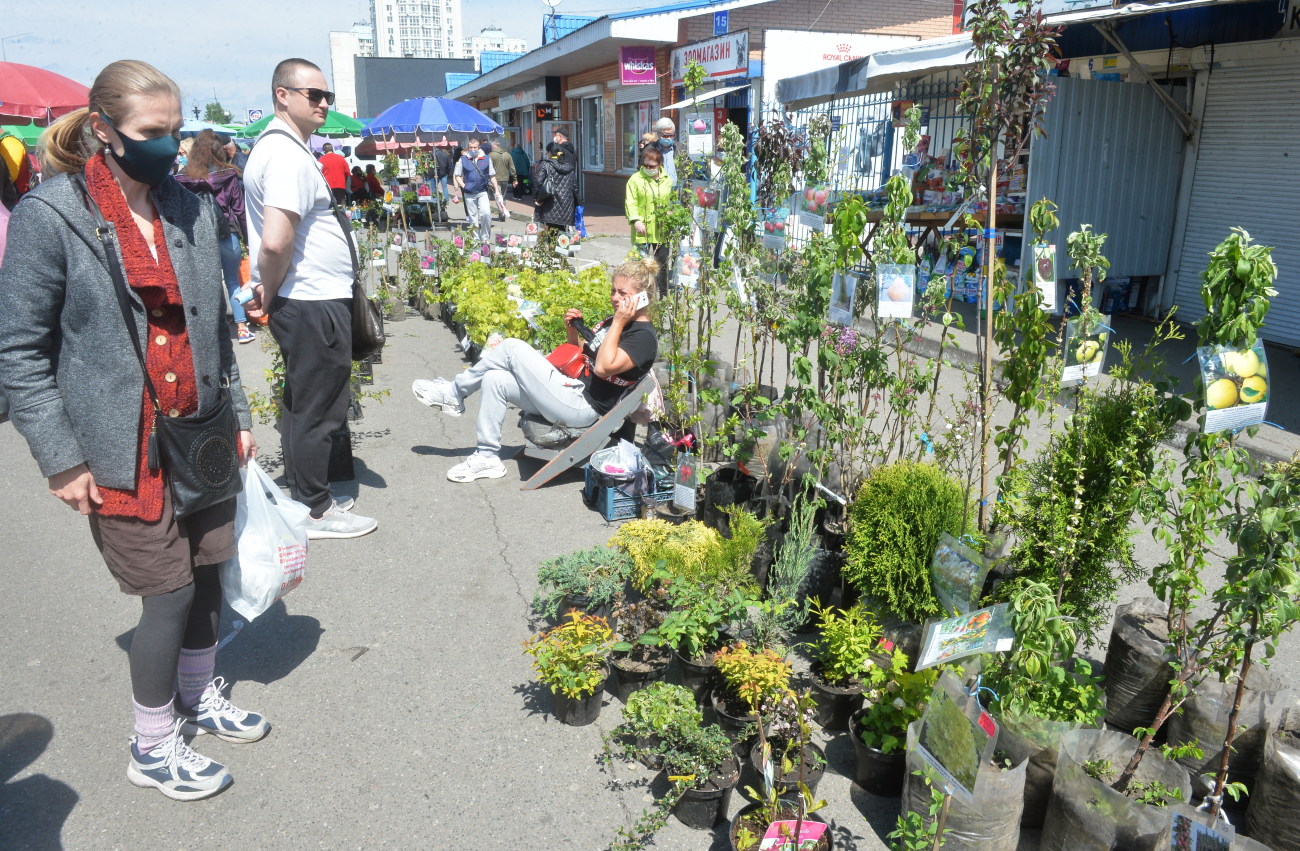 В Киеве начали открываться садоогордные ярмарки