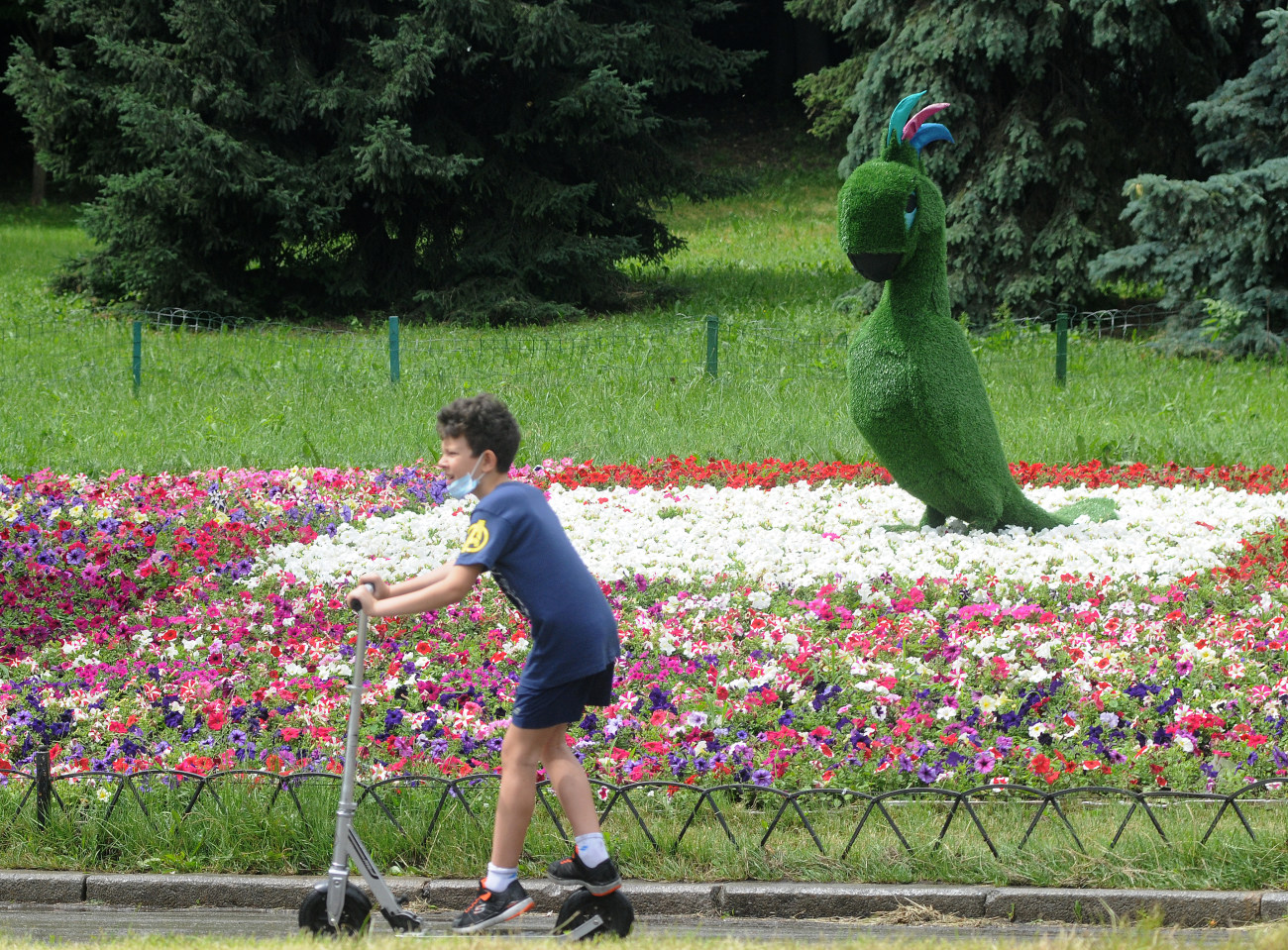 В Киеве на Певческом поле проходит выставка «Цветочное сафари»