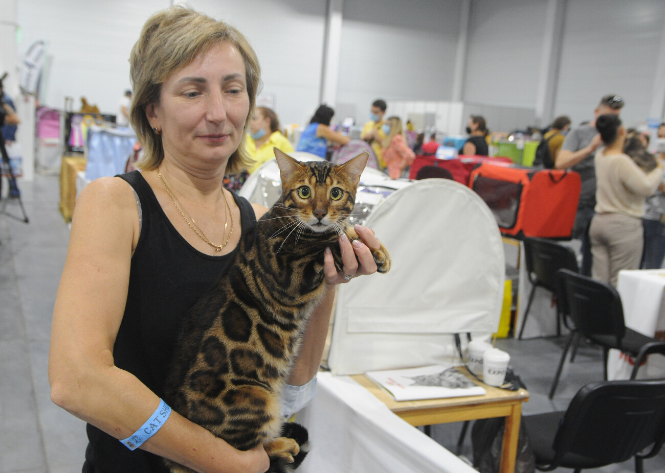 В Киеве состоялась выставка кошек