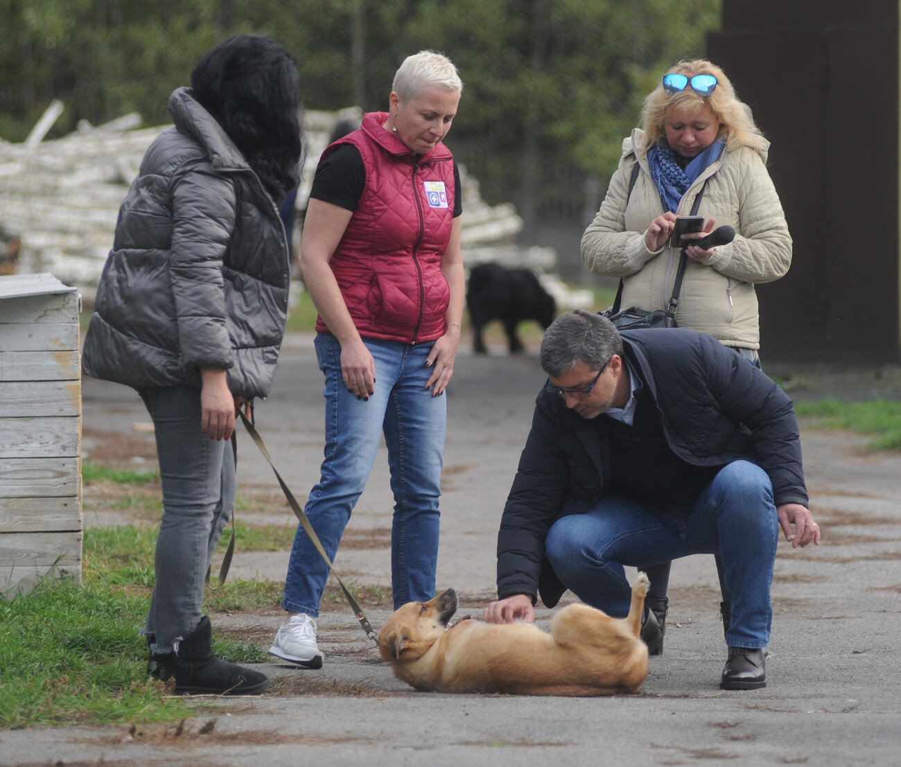 Зоооволонтеры проверили приют для собак в Бородянке
