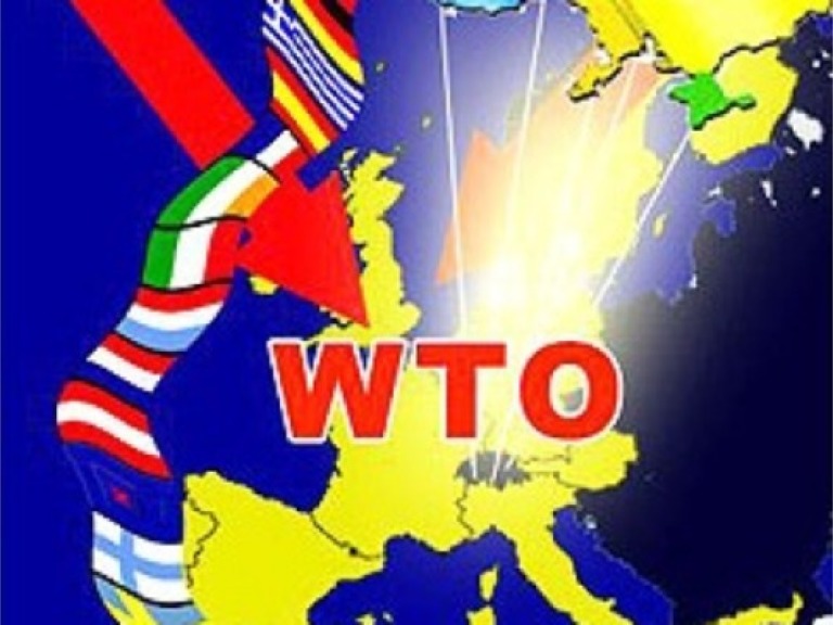 Україна дуже поспішила зі вступом до Світової організації торгівлі, — Симоненко