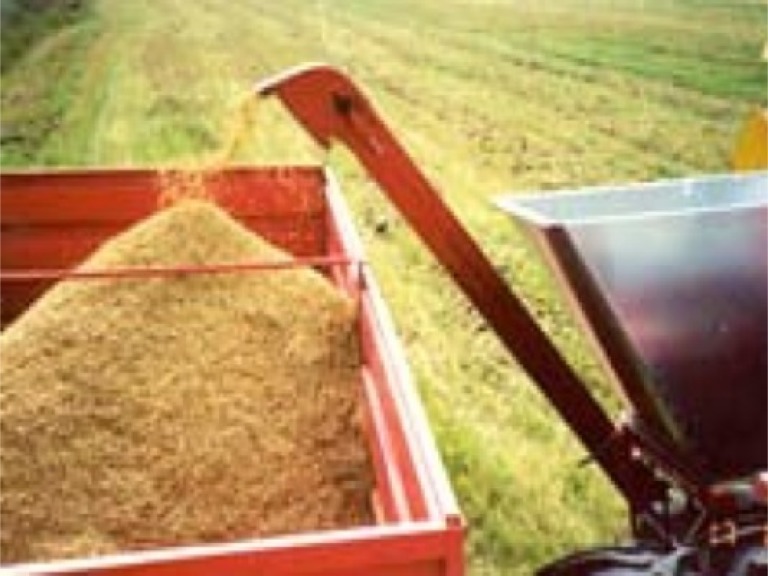 У держрезерві та Аграрному фонді не вистачає 700 тисяч тонн зерна – ГоловКРУ