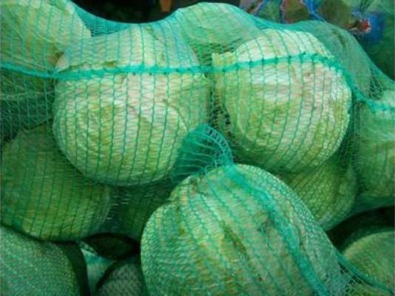 Капуста нынче в цене