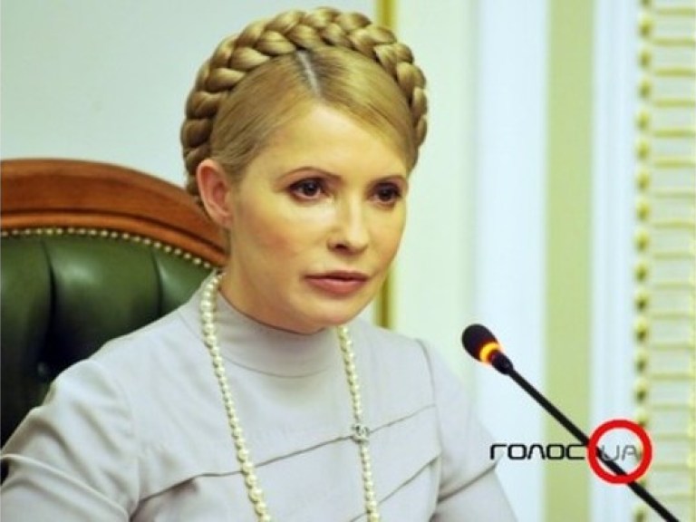 Тимошенко намерена провести референдум против приватизации земли