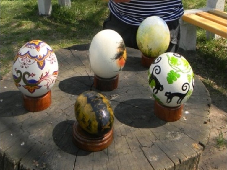 В Черкасском зоопарке расписали страусиные яйца (ФОТО)