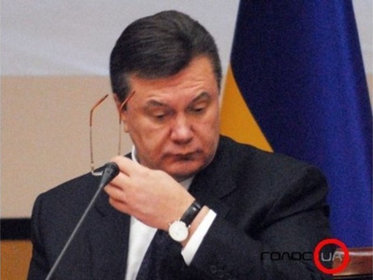 Янукович наложил вето на закон об усилении ответственности за загрязнение лесов