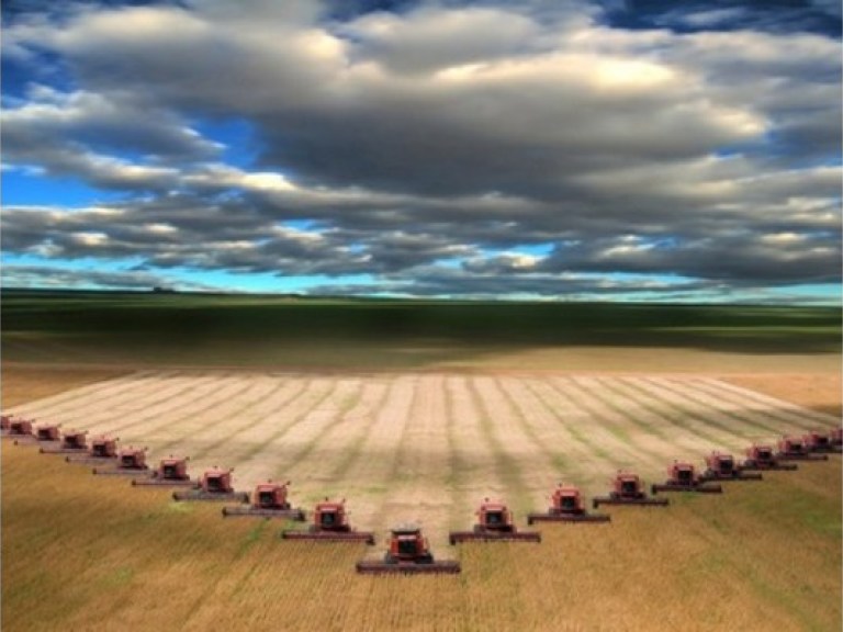 Одним — вершки, другим корешки… (ч.1)