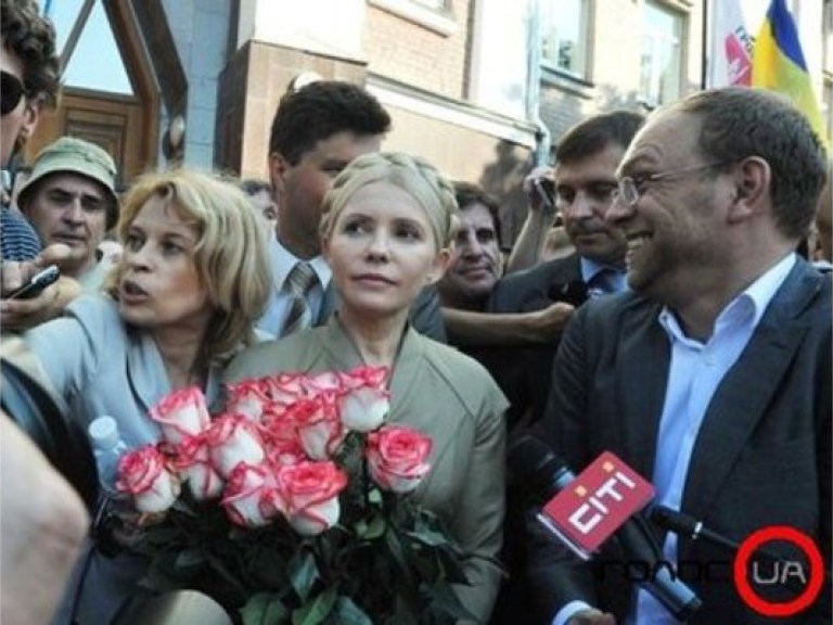 Американские аудиторы Тимошенко проводят проверку по газовому делу &#8212; Власенко