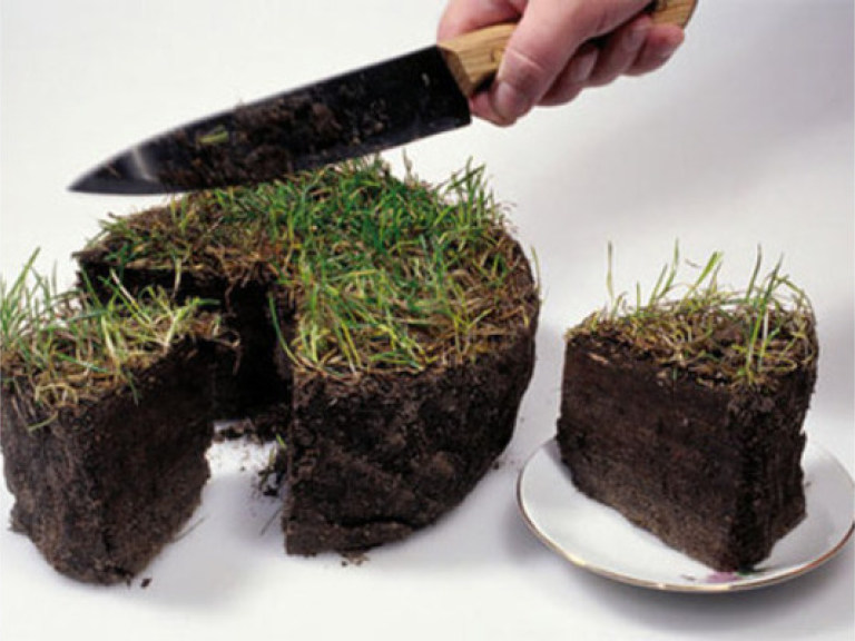 Свободному рынку земли в Украине мешает чрезмерный контроль — Посол Великобритании