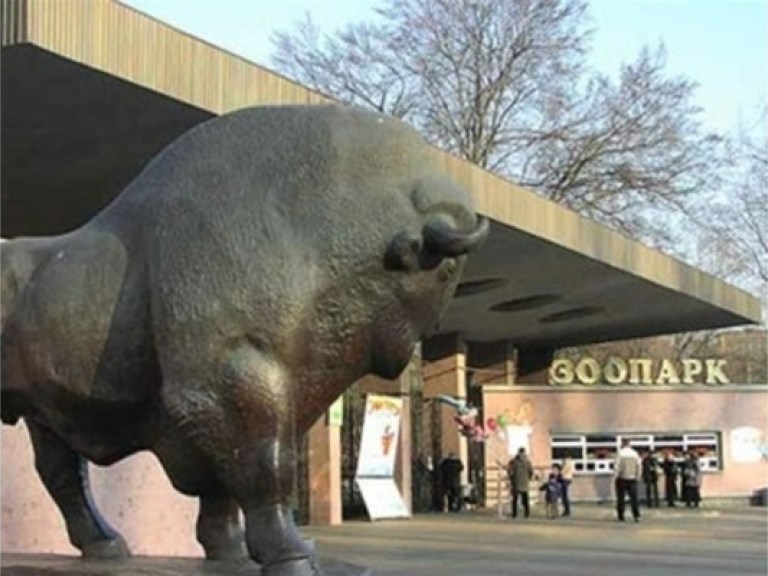 Почему из Киевского зоопарка бегут дикобразы?