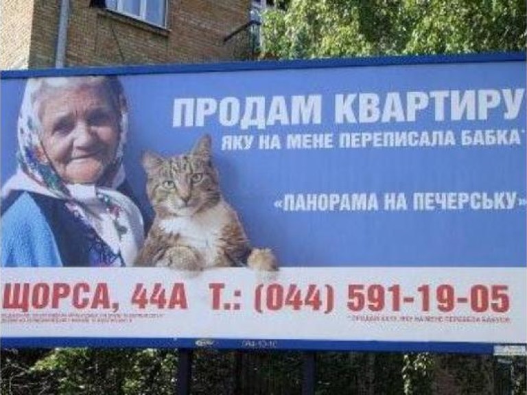 Кот «продает» квартиру, которую на него переписала бабушка (Фото)