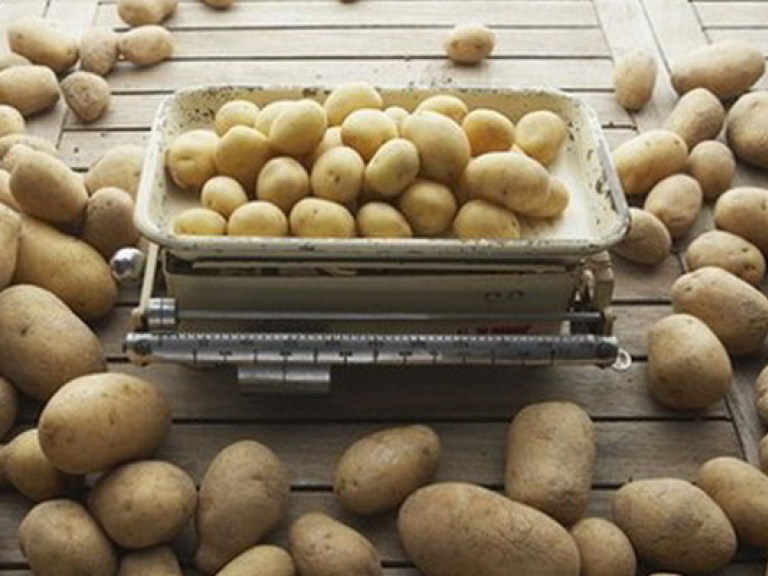 В этом году картошка будет стоить дороже, чем в прошлом — эксперт