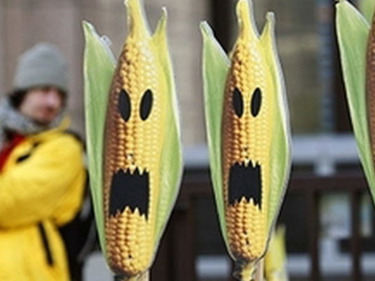 Украинские семена проверят на наличие ГМО