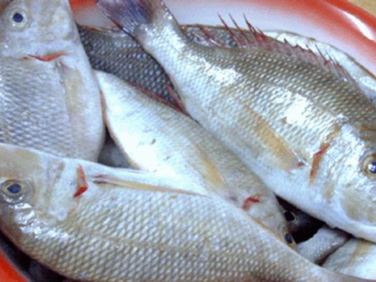 В Запорожье продают рыбу, зараженную глистами