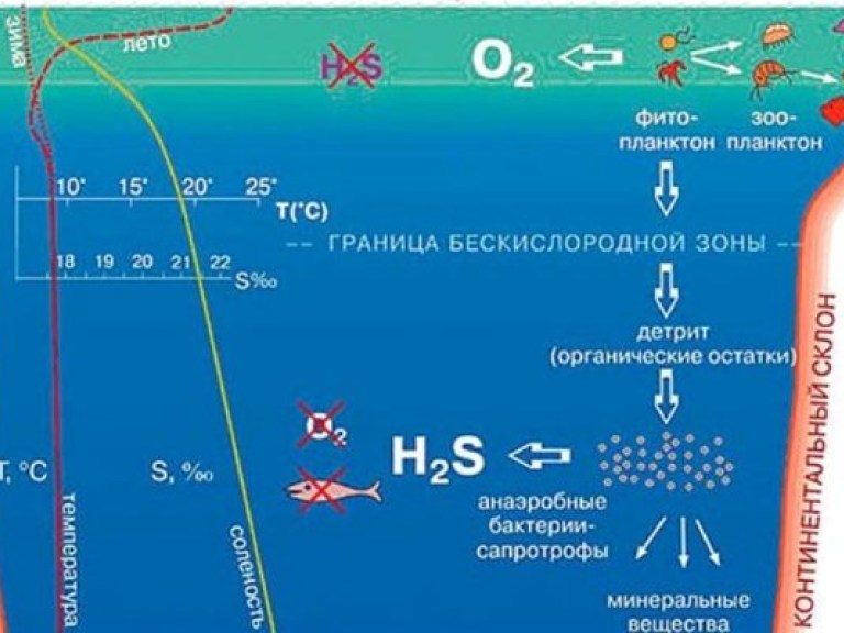 Сероводород в Черном море поднялся на рекордную отметку