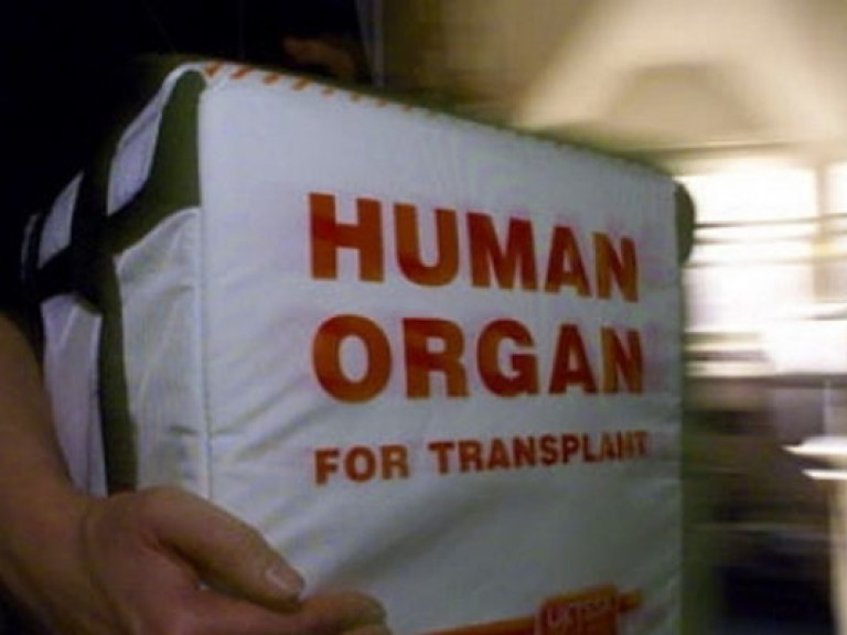 В Украине проводят всего 5% необходимых трансплантаций