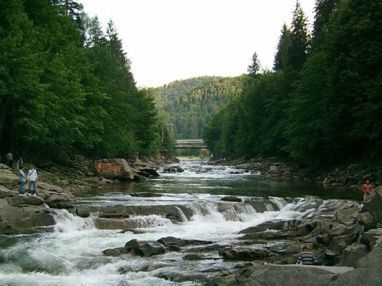 Прикарпатский губернатор хочет раздать реки области в аренду частным лицам