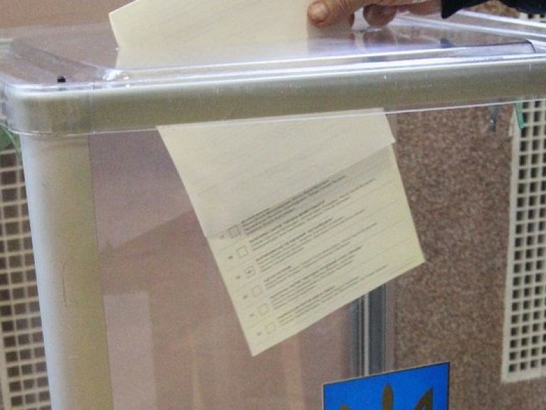 Диаспора усмотрела нарушения при проведении выборов в Украине