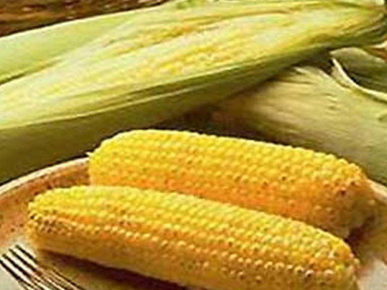 Украина экспортировала 2,5 миллиона тонн кукурузы — Минагрополитики