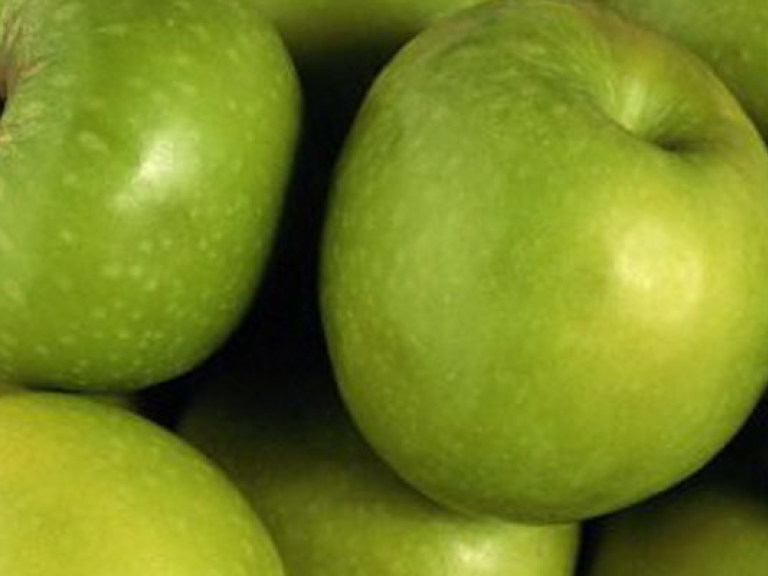 Несмотря на урожай, Украина снизила экспорт яблок &#8212; эксперт