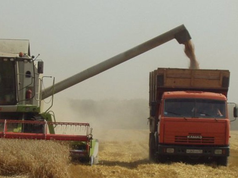 О запрете на экспорт пшеницы должны заявить официально – эксперт