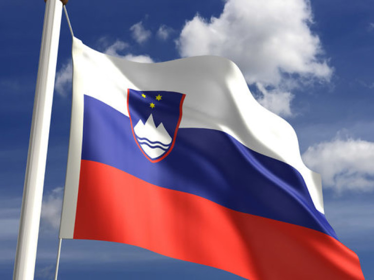 В Словении протестовали против политики властей