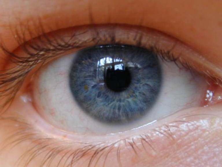 Слепым вернут зрение при помощи чипов в глазах