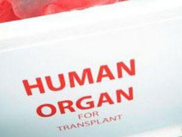 «Трупной трансплантологии» в Украине нет – эксперт