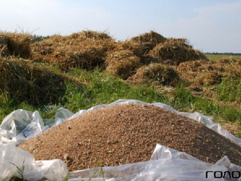 В правительстве придумали, как возрождать село