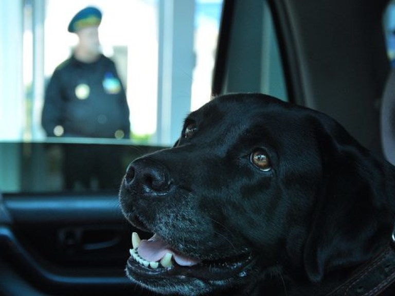 Российские таможенники задержали 1,2 тонны капусты из Украины