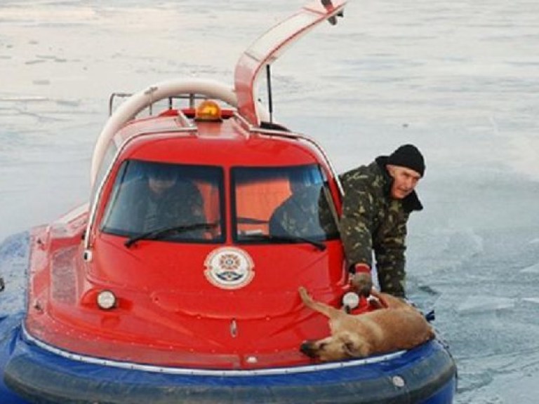 В Николаеве для спасения собаки задействовали катер на воздушной подушке