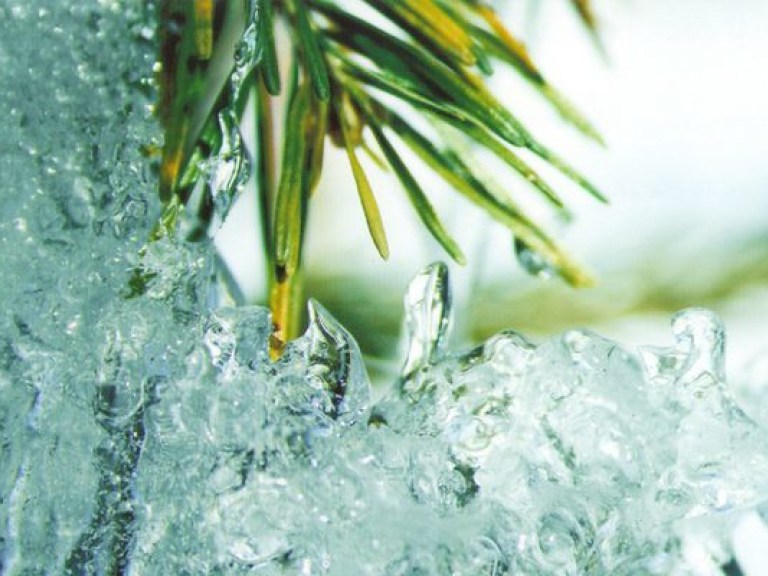 Гидрометеоцентр обещает теплую февральскую неделю