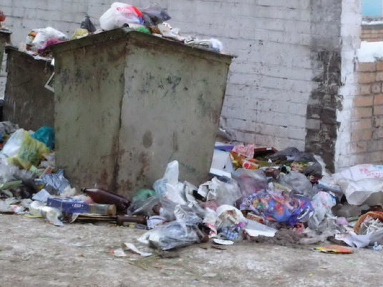 Д.Радионов: «В Киеве пилотный проект по раздельному сбору мусора оказался достаточно успешным»
