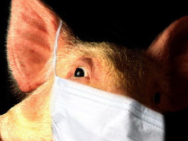 С начала года в Украине зафиксировано 128 случает «свиного» гриппа