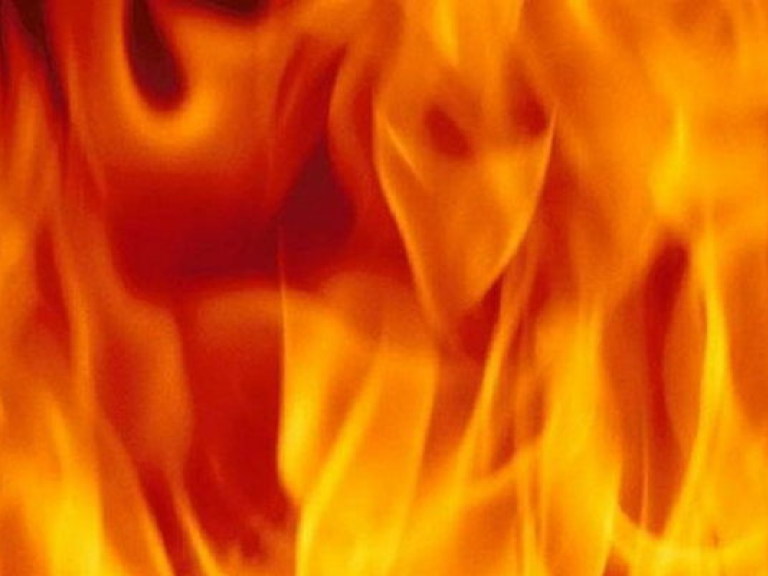 В Донецкой области во время пожара сгорели двое детей