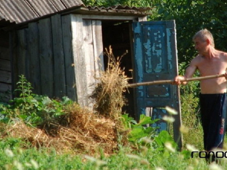 Кооперативы дадут работу 5 миллионам жителей села &#8212; Присяжнюк